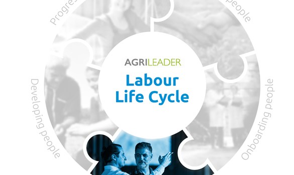 Labour life cycle Managing people piece